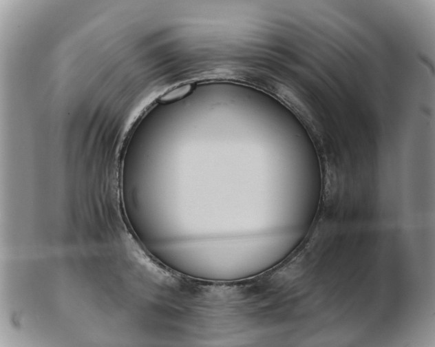 X0000103270800200809122135