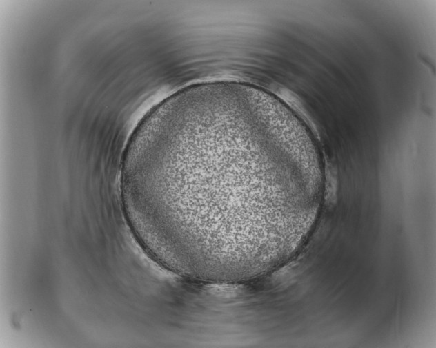X0000103270805200809122134