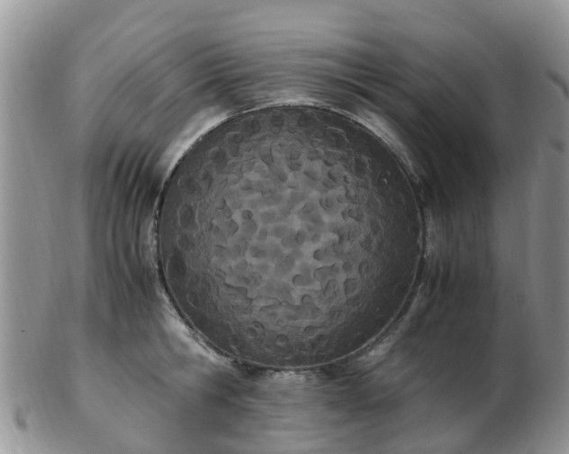 X0000103270806200809122134