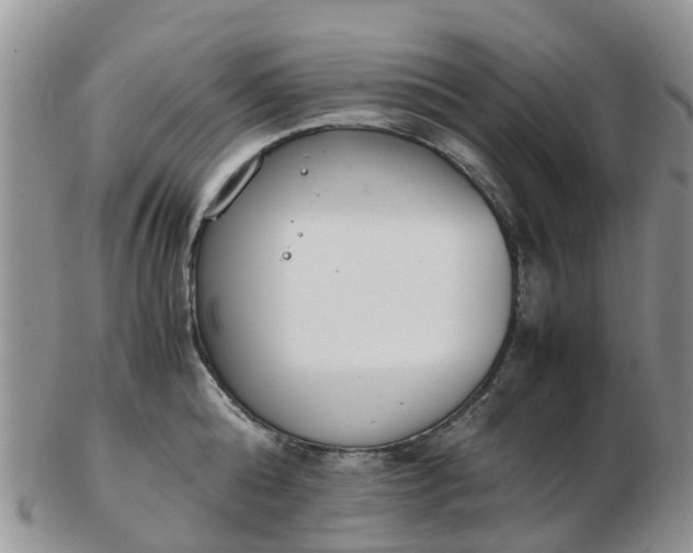 X0000103270808200809122134