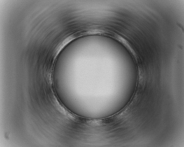 X0000103270810200809122134