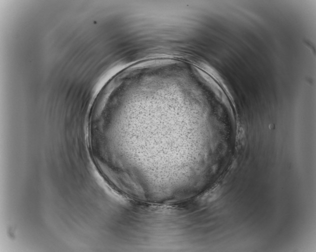 X0000103270811200809122134