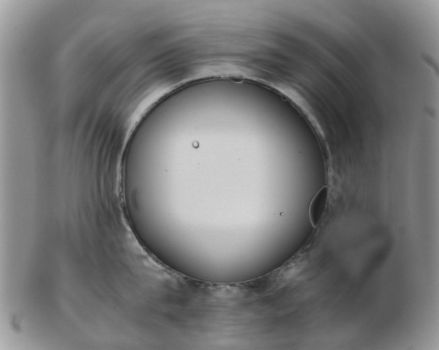 X0000103270815200809122134