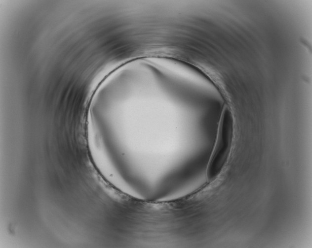 X0000103270816200809122134