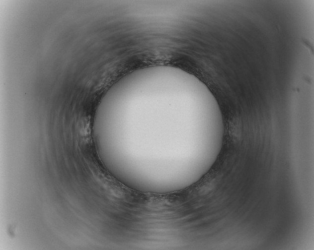 X0000103270818200809122134