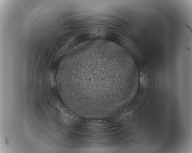 X0000103270819200809122134
