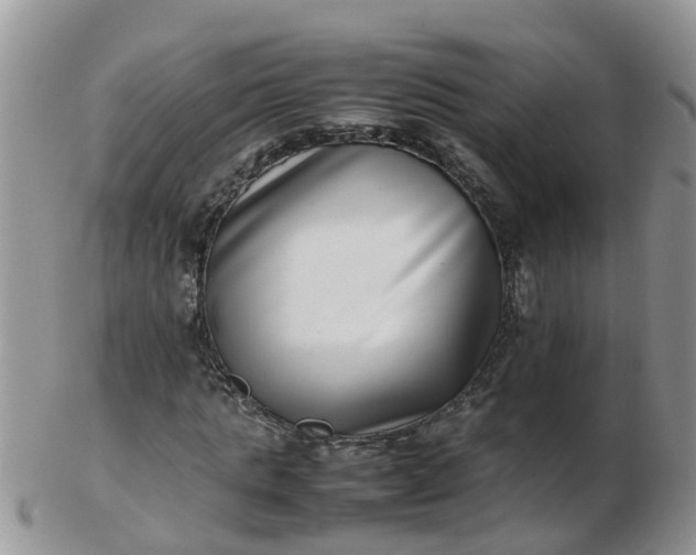 X0000103270821200809122134