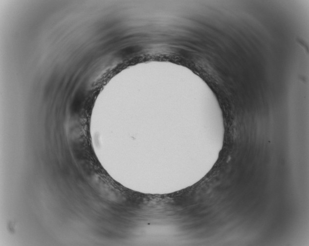 X0000103270824200809122134