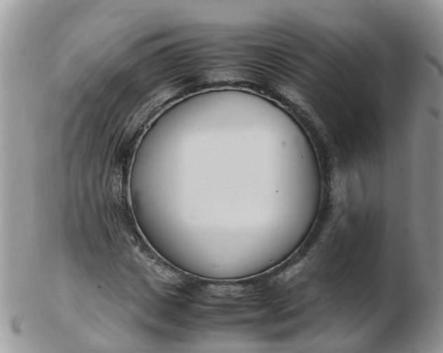 X0000103270825200809122134