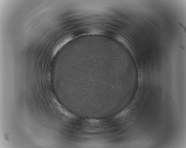 X0000103270827200809122134