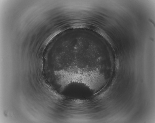 X0000103270829200809122134