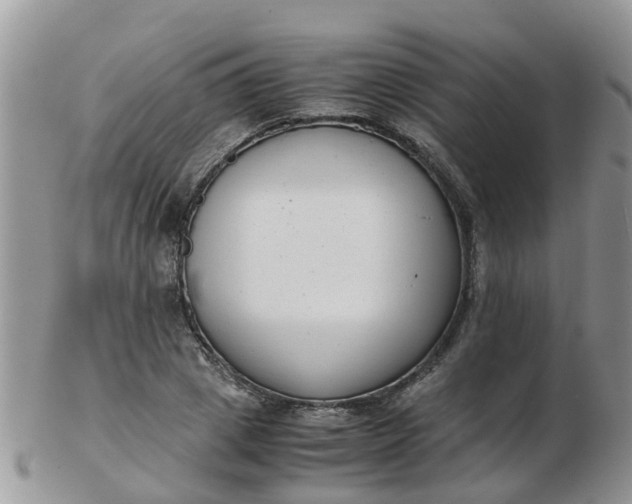X0000103270833200809122134