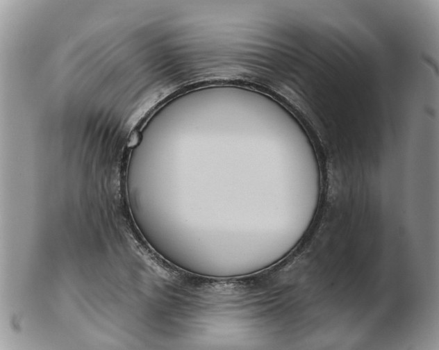 X0000103270834200809122134
