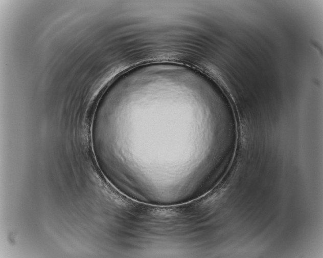 X0000103270835200809122134