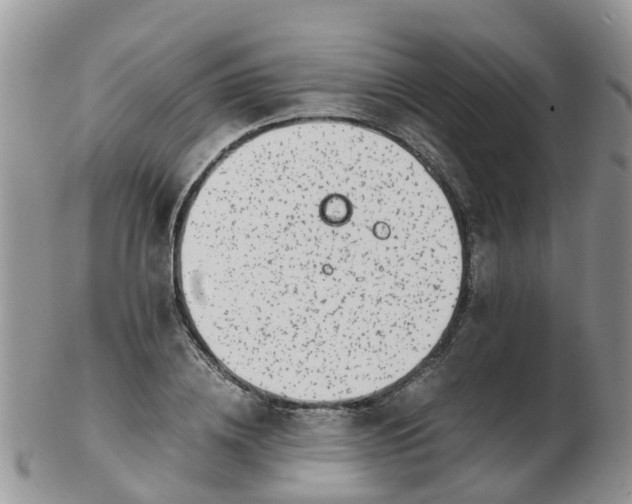 X0000103270836200809122134
