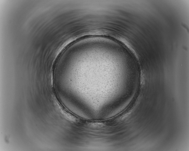 X0000103270837200809122134
