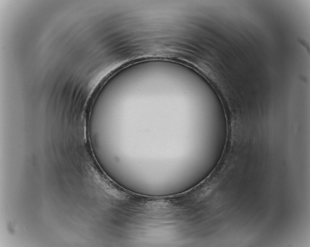 X0000103270838200809122134