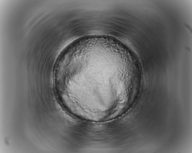 X0000103270839200809122134
