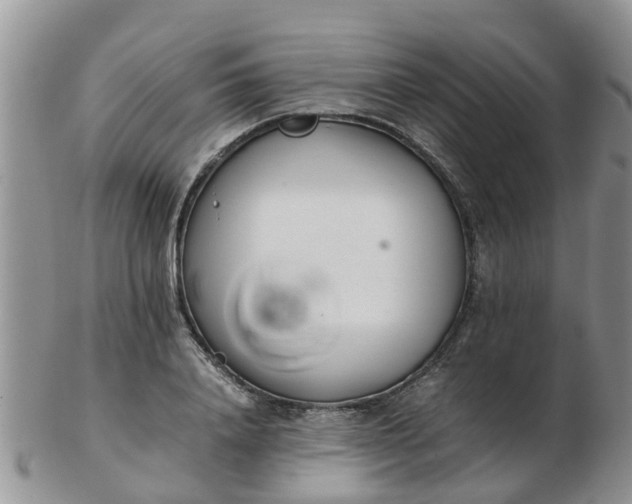 X0000103270840200809122134