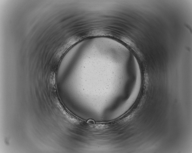 X0000103270841200809122134