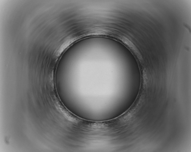 X0000103270842200809122134