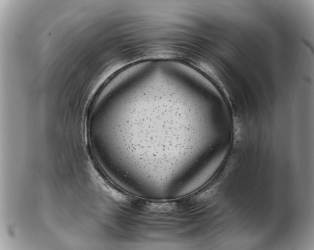 X0000103270843200809122134