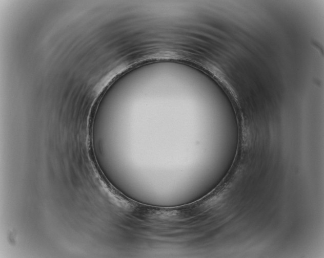 X0000103270845200809122134