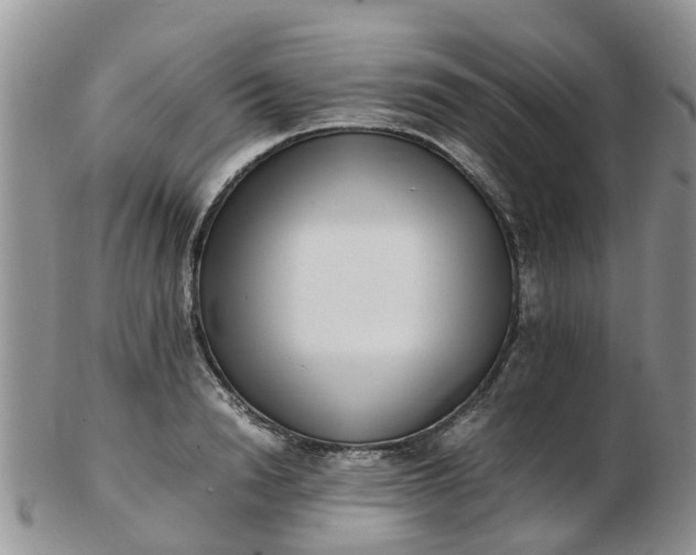 X0000103270846200809122134