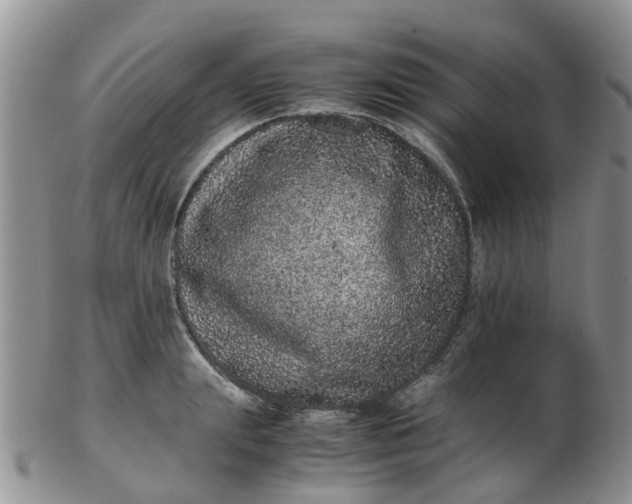 X0000103270847200809122134