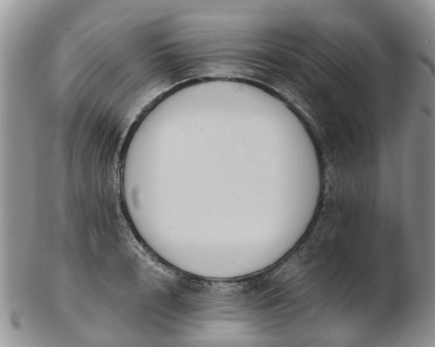 X0000103270848200809122134