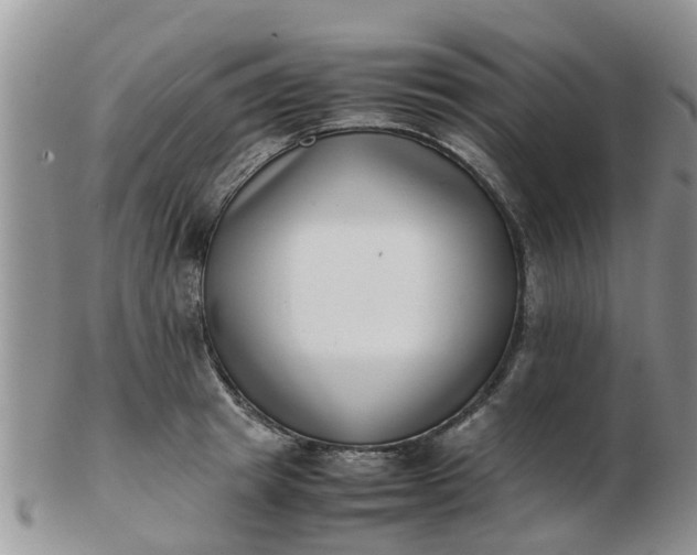 X0000103270849200809122134