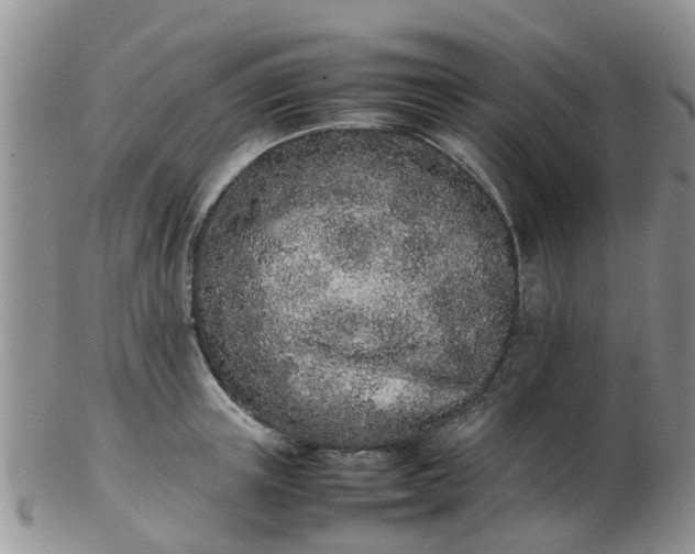 X0000103270851200809122134