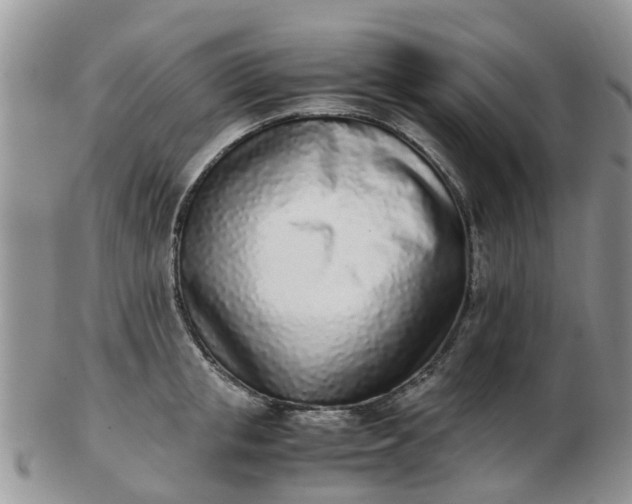 X0000103270853200809122134