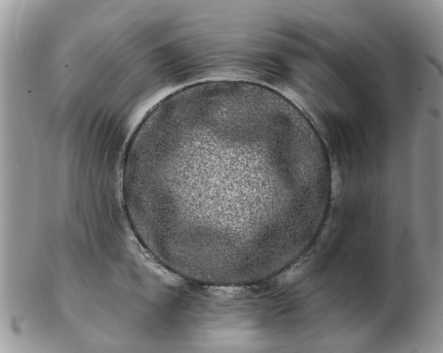 X0000103270854200809122134