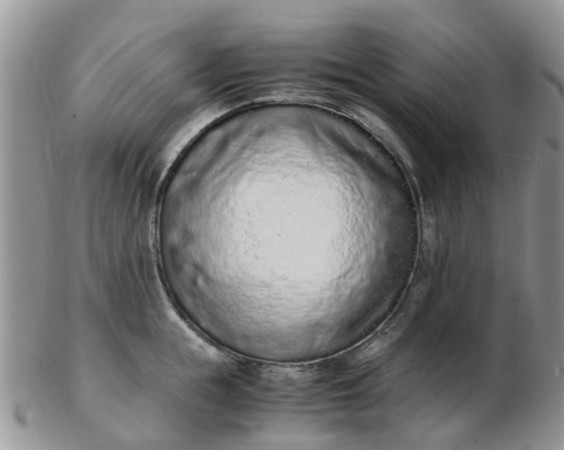 X0000103270855200809122134
