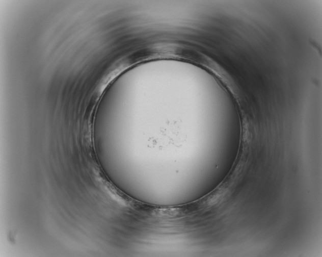 X0000103270858200809122134