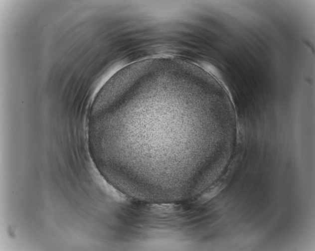 X0000103270859200809122134