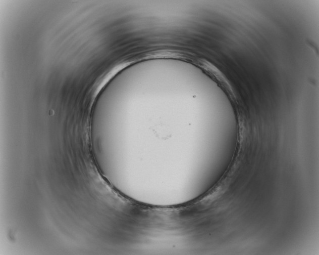 X0000103270860200809122134