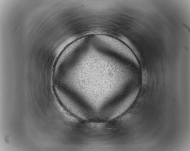 X0000103270861200809122134