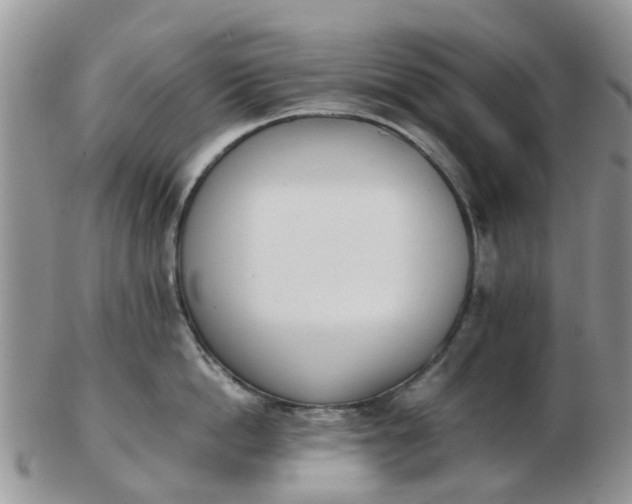 X0000103270862200809122134