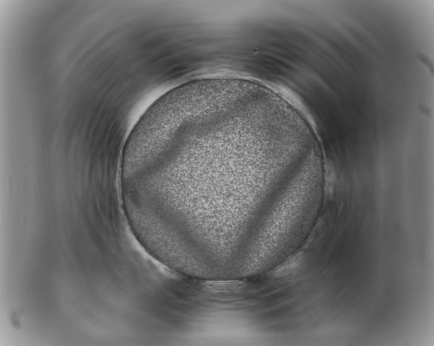 X0000103270863200809122134