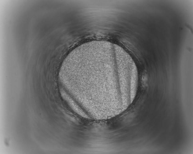 X0000103270865200809122134