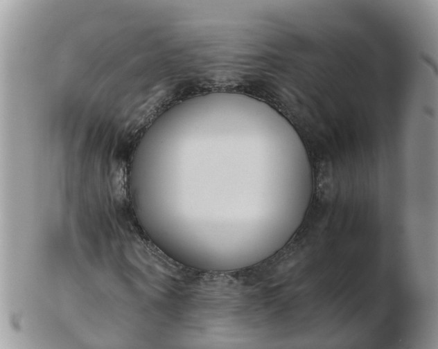 X0000103270866200809122133