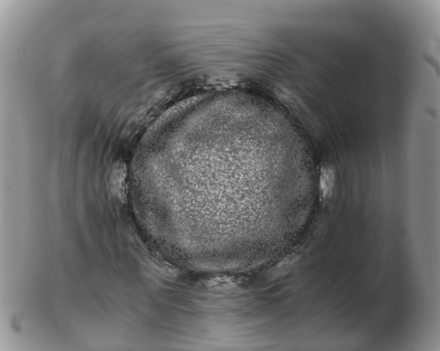 X0000103270867200809122133