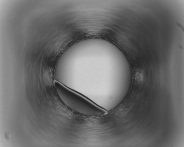 X0000103270868200809122133