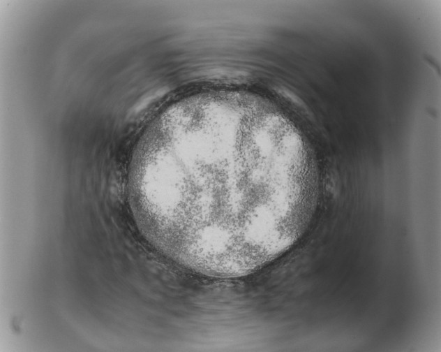 X0000103270869200809122133