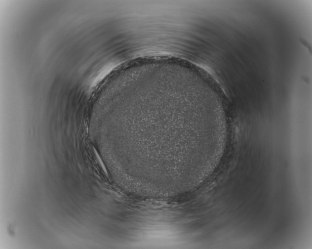 X0000103270871200809122133