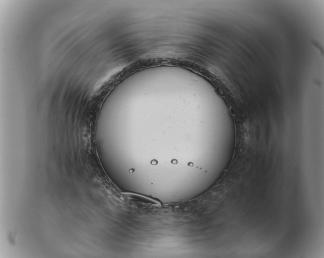X0000103270872200809122133