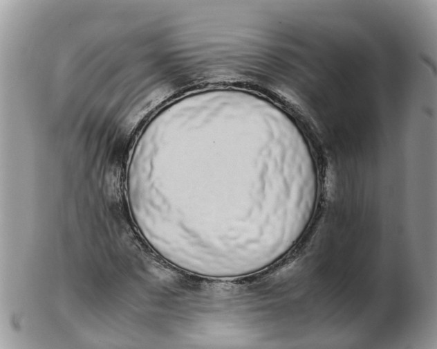 X0000103270873200809122133