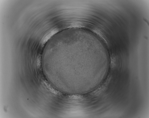 X0000103270874200809122133